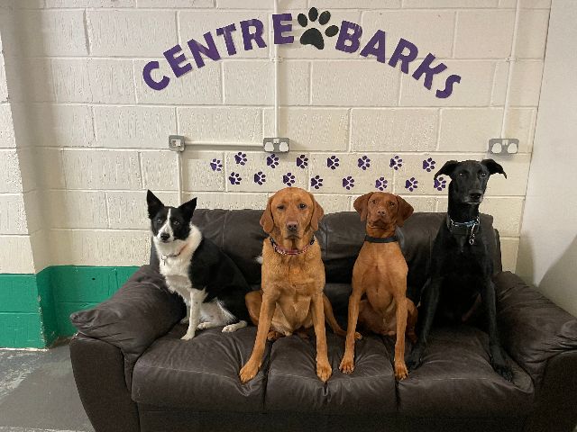 WELCOME TO CENTREBARKS